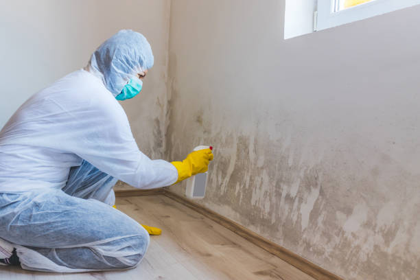 Mold Remediation specialist working in Haverford